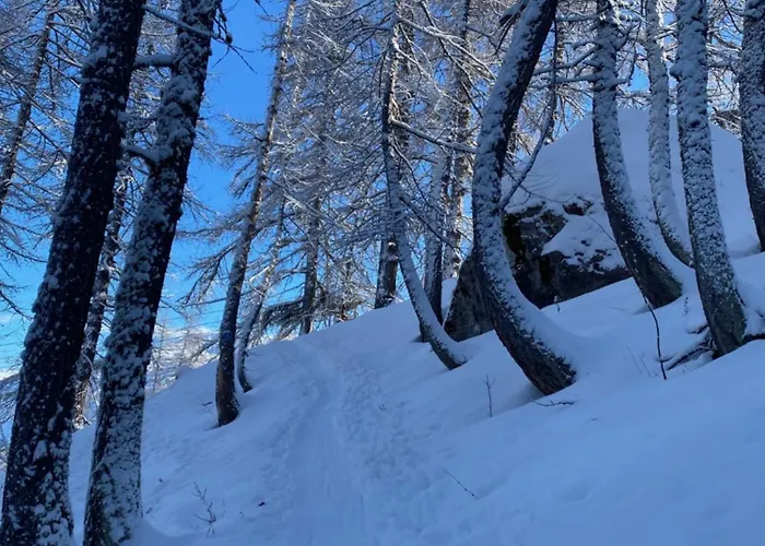 Appartement Le Gaudissart 2