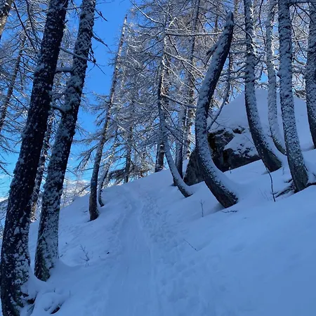 Апартаменты Le Gaudissart 2