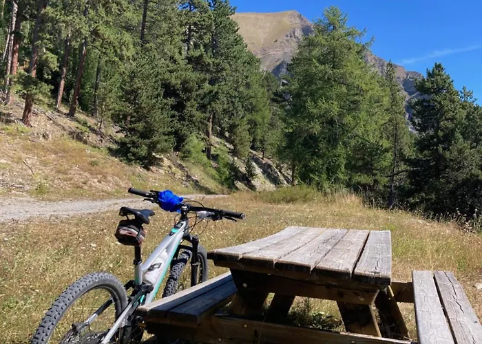 公寓 Le Gaudissart 2 巴斯洛内特